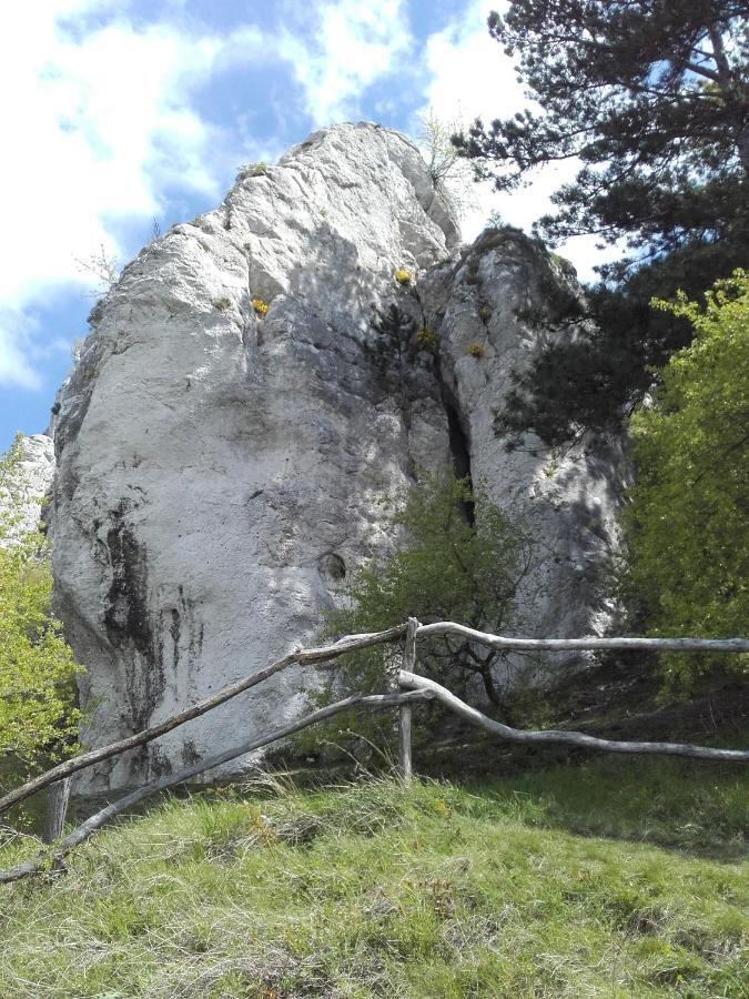 Pavlov Devicky Hotel Kültér fotó